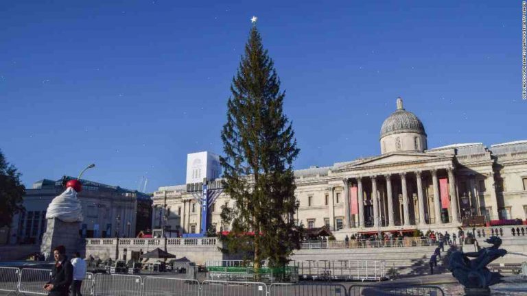 Norway insists new Christmas tree is 'threadbare'