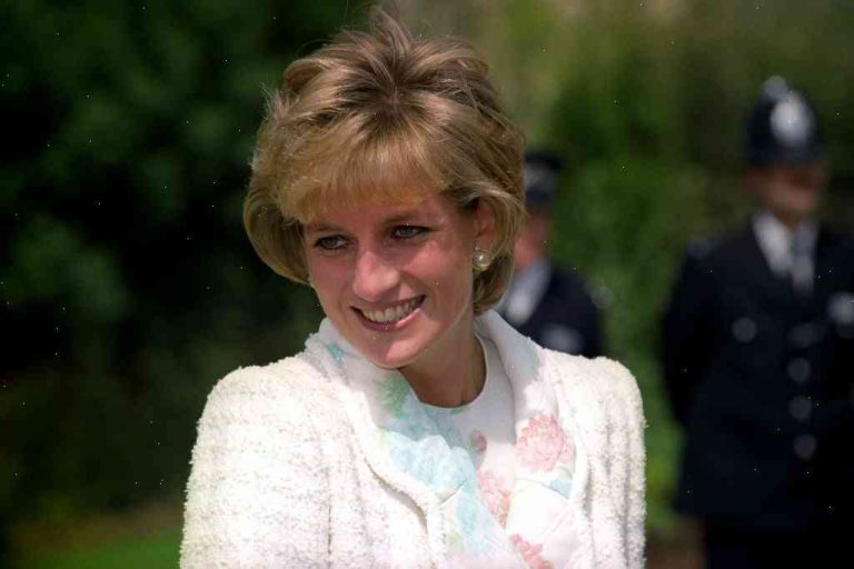William says he is ‘still so grateful’ Diana was a ‘good connection’ at school