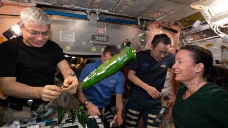NASA astronauts pick peppers in space for the first time on International Space Station